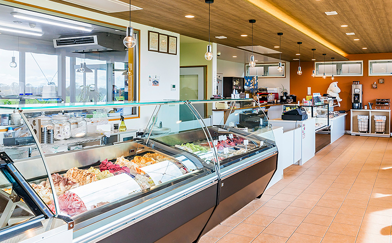 ドリームドルチェ A2ミルク 生ソフトクリーム 130ml×8個 北海道 アイス アイスクリーム 詰め合わせ ギフト 贈答用 冷凍