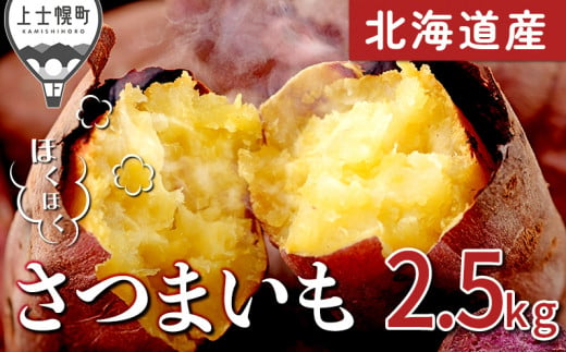 北海道 サツマイモ 2.5kg｜北海道産さつまいも＜計2.5kg＞ ◆2024年11月中旬発送開始予定