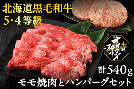 北海道 和牛肉 5・4等級 オレイン酸含有率55%以上 冷凍ハンバーグ|十勝ナイタイ和牛 モモ焼肉とハンバーグセット[計540g]