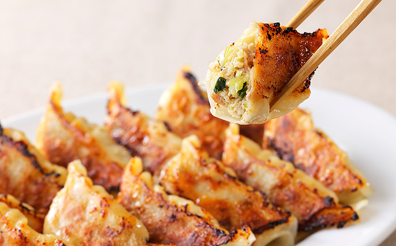 上士幌餃子 60個（20個入×3袋） ぎょうざ ギョウザ ギョーザ 国産 北海道産 十勝産SPF豚使用 冷凍生餃子 お惣菜 中華 点心 お取り寄せ