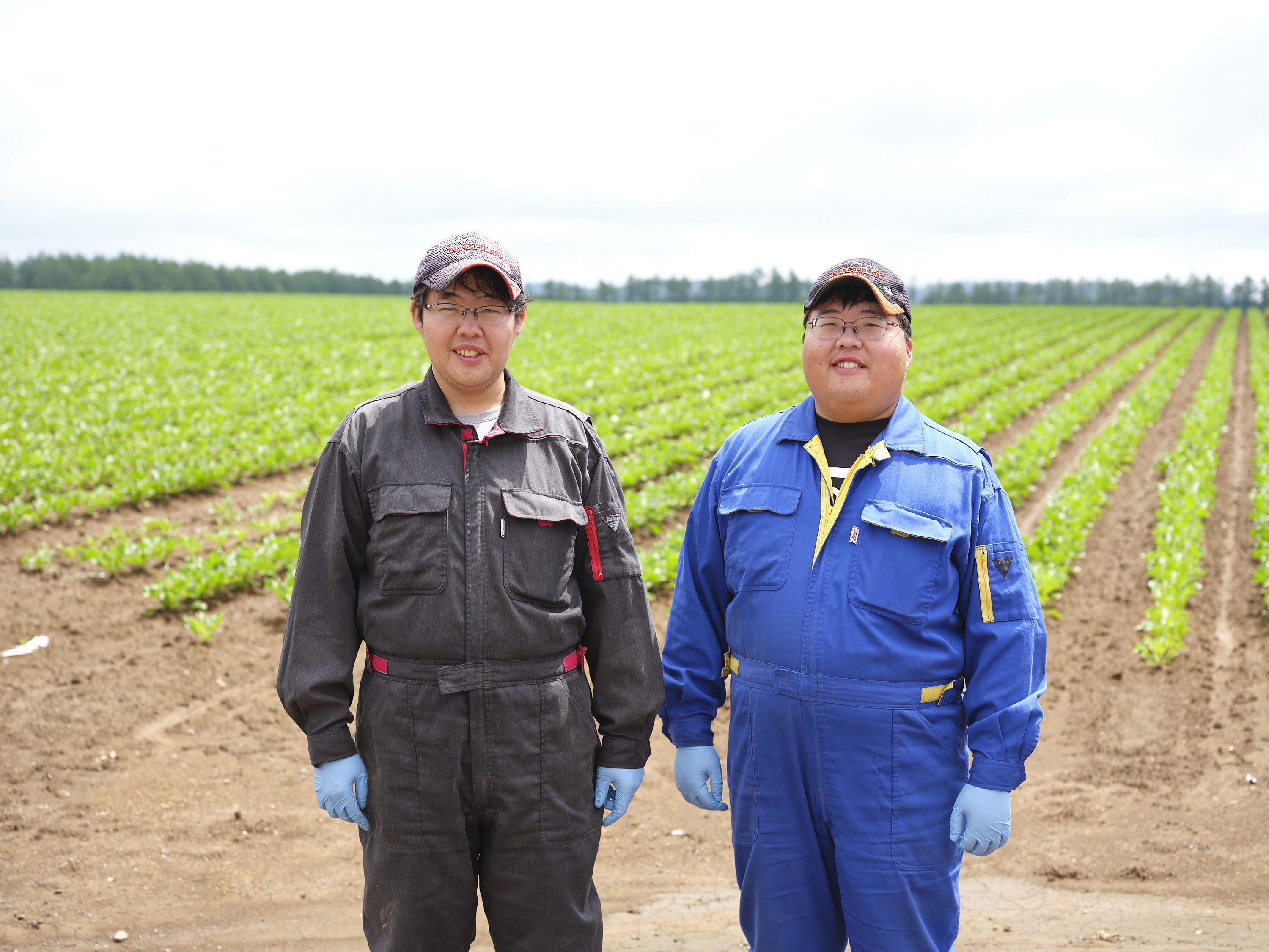 北海道 ホウレンソウ 1kg｜北海道産寒締めほうれんそう＜計1kg＞ ◆2024年12月中旬発送開始予定