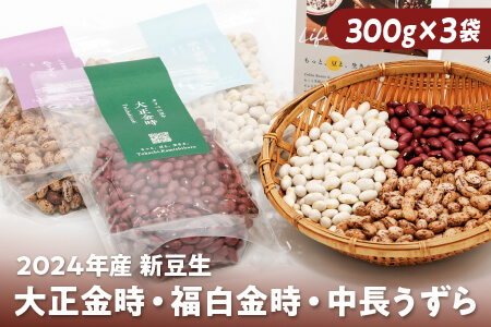 北海道 大正金時 福白金時 中長うずら 2024年産(新豆)|オリベの豆や 生豆セット(煮豆Ver.) ◆2024年12月配送