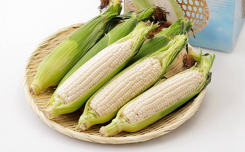 2026年分 先行予約 北海道産 ホワイトコーン 計6本 北海道 上士幌町 須田農場 野菜 白い スイートコーン とうもろこし トウモロコシ 産地直送 冷蔵便 ◆2026年08月配送予定
