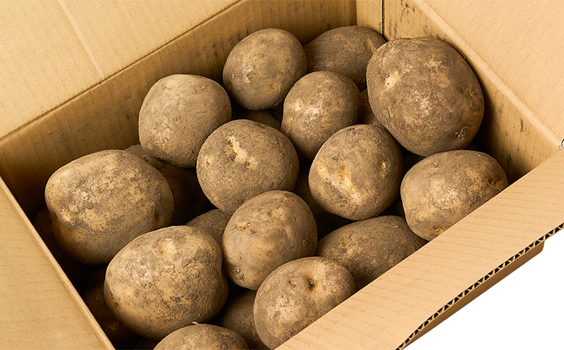 北海道産 新じゃが きたひめ 5kg 北海道 上士幌町 須田農場 野菜 じゃがいも ジャガイモ 馬鈴薯 産地直送