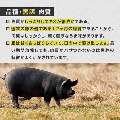 【毎月定期便】自然放牧黒豚 豚丼セット(ロース200g×3・肩ロース200g×2・たれ1本)全6回【配送不可地域：離島】【4087355】