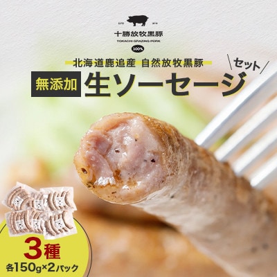 【毎月定期便】北海道鹿追産 自然放牧黒豚 無添加 生ソーセージセット(3種各150g×2P)全12回【配送不可地域：離島】【4087332】