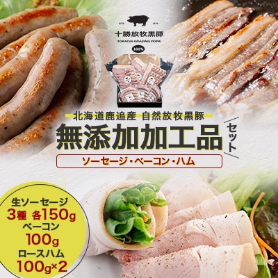 【毎月定期便】北海道十勝産 自然放牧黒豚 無添加加工品セット(ソーセージ ベーコン ハム)全4回【配送不可地域：離島】【4087369】