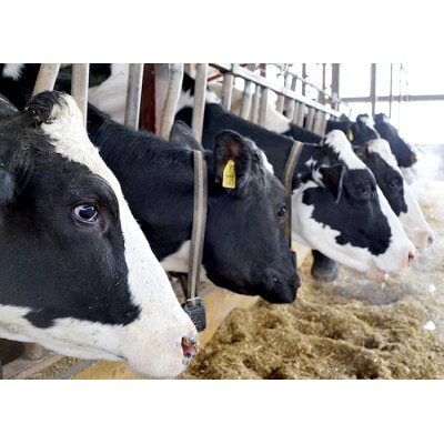 【セット】風景の牛乳 200ml　牧場てづくりのむヨーグルト 200g　各4本【配送不可地域：離島】【1720265】