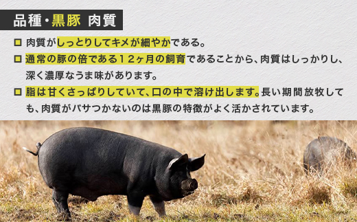 北海道十勝産 自然放牧黒豚 圧巻の豚肉 無添加加工品セット(ソーセージ ベーコン ハム)【1909】【配送不可地域：離島】【1453214】