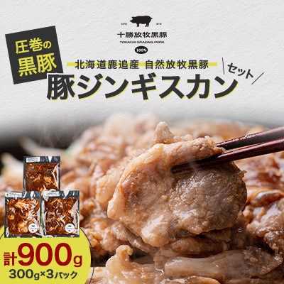 【毎月定期便】北海道鹿追産 自然放牧 圧巻の黒豚 豚ジンギスカンのセット 900g全2回【配送不可地域：離島】【4087320】