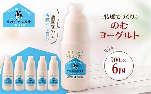 牧場てづくりのむヨーグルト　900g×6個【配送不可地域：離島】【1720219】
