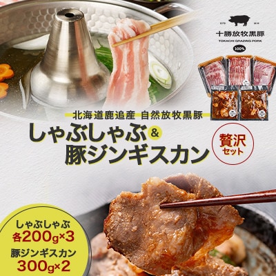 【毎月定期便】鹿追産 自然放牧黒豚 しゃぶしゃぶ各200g×3 &豚ジンギスカン300g×2全3回【配送不可地域：離島】【4087346】