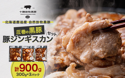 北海道鹿追産 自然放牧 圧巻の黒豚 豚ジンギスカンのセット 900g (300g×3パック)【配送不可地域：離島】【1444880】