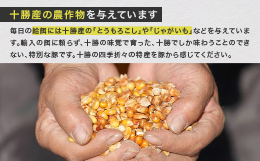 【毎月定期便】北海鹿追産 十勝放牧黒豚 圧巻の豚肉 おまかせ定期便(6カ月セット)全6回【1910】【配送不可地域：離島】【4006199】