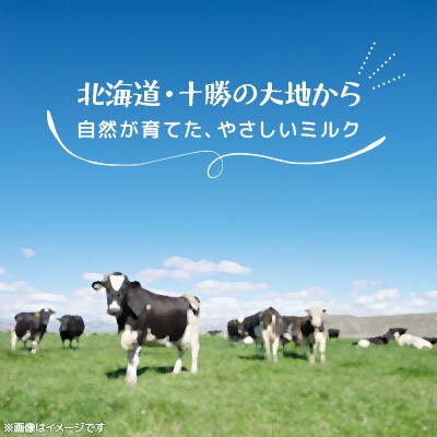 ãæ¯æå®æäŸ¿ãèåã®ãšãŒã°ã«ã ã§ãŒã§ãŒãœã£ãœ ãã¬ãŒã³ 1kgÃ2åå
š12åãé
éäžå¯å°åïŒé¢å³¶ãã4085112ã