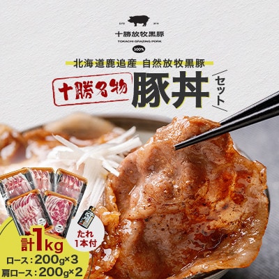 【毎月定期便】自然放牧黒豚 豚丼セット(ロース200g×3・肩ロース200g×2・たれ1本)全10回【配送不可地域：離島】【4087356】
