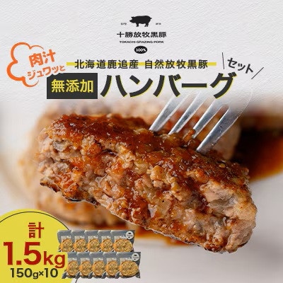 【毎月定期便】自然放牧黒豚 無添加ハンバーグセット計1.5kg(150g×10) 十勝鹿追産全3回【配送不可地域：離島】【4086593】