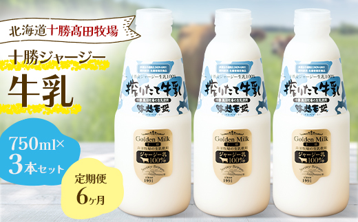 【毎月定期便】【十勝高田牧場】十勝搾りたてジャージー牛乳 750ml×3本セット全6回【配送不可地域：離島】【4085622】