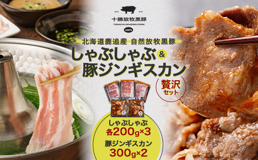 鹿追産 自然放牧黒豚 しゃぶしゃぶ(各200g×3)&豚ジンギスカン(300g×2)の贅沢セット【配送不可地域：離島】【1445717】