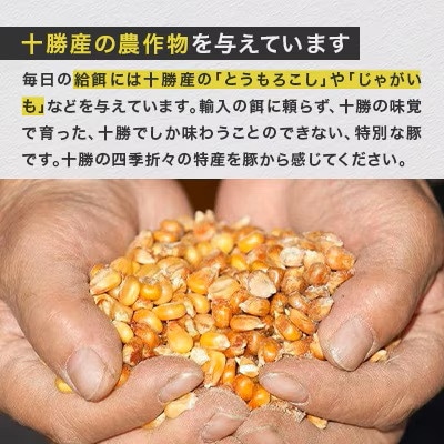 【毎月定期便】自然放牧黒豚 無添加ハンバーグセット計1.5kg(150g×10) 十勝鹿追産全3回【配送不可地域：離島】【4086593】