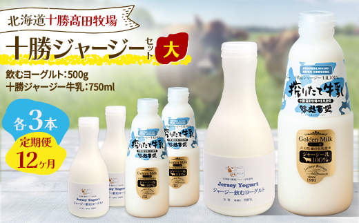 【毎月定期便】十勝ジャージーセット 大 各3本(飲むヨーグルト500g・牛乳750ml)全12回【配送不可地域：離島】【4085711】