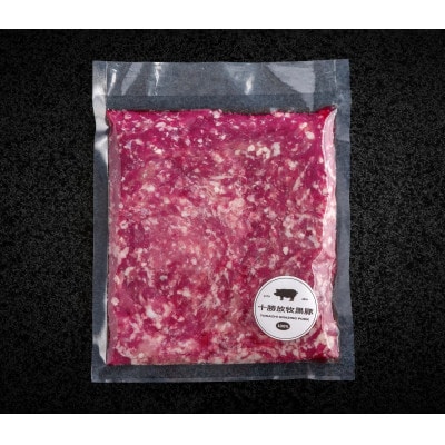 【毎月定期便】十勝鹿追町産放牧黒豚　ひき肉＆切り落としセット(1,950g)定期便全12回【配送不可地域：離島】【4058015】