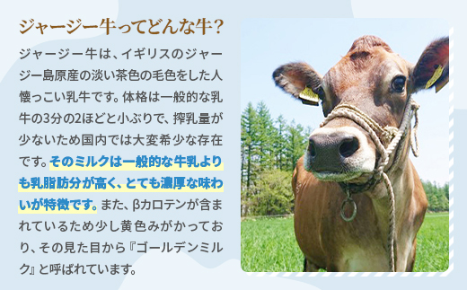 【十勝高田牧場】ジャージー飲むヨーグルト 500g×2本セット【配送不可地域：離島】【1725488】