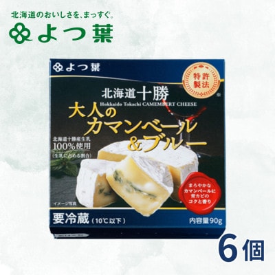 北海道十勝産 よつ葉 大人のカマンベール＆ブルー 6個【配送不可地域：離島】【1550069】