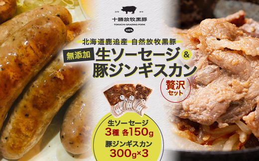 鹿追産 自然放牧黒豚 生ソーセージ(3種各150g)&豚ジンギスカン(300g×3)の贅沢セット【配送不可地域：離島】【1444687】