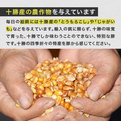 【毎月定期便】自然放牧黒豚 豚丼セット(ロース200g×3・肩ロース200g×2・たれ1本)全2回【配送不可地域：離島】【4087352】