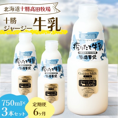 【毎月定期便】十勝ジャージー牛乳 750ml×3本セット全6回【配送不可地域：離島】【4085622】