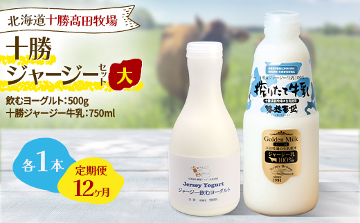 【毎月定期便】十勝ジャージーセット 大 各1本(飲むヨーグルト500g・牛乳750ml)全12回【配送不可地域：離島】【4085707】