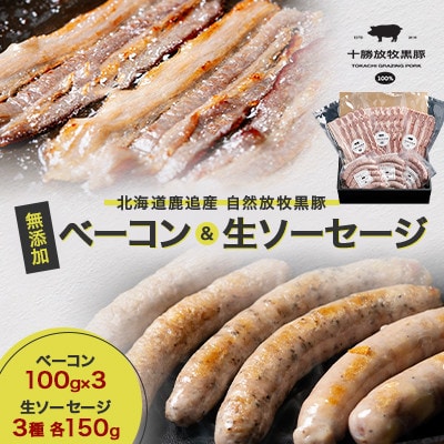 【毎月定期便】自然放牧 圧巻の黒豚 無添加ベーコン100g×3&生ソーセージ3種各150g全12回【配送不可地域：離島】【4087366】