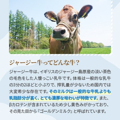 【毎月定期便】十勝ジャージー牛乳 750ml×6本セット全12回【配送不可地域：離島】【4085626】