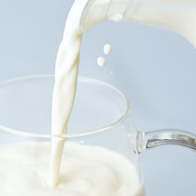 ååãžã£ãŒãžãŒé£²ããšãŒã°ã«ã 500gÃ3æ¬ã»ãããé
éäžå¯å°åïŒé¢å³¶ãã1725489ã