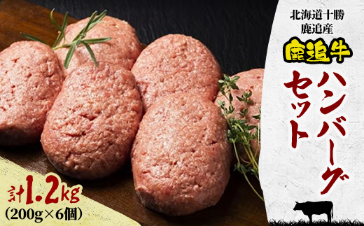 鹿追牛 ハンバーグセット 200g×6個 計1.2kg 牛肉100% 北海道十勝鹿追産【0117】【配送不可地域：離島】【1455848】