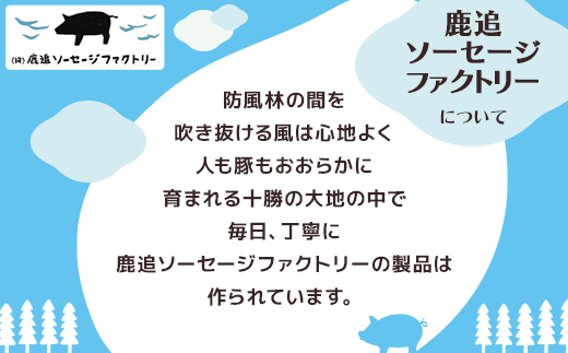 北海道十勝のハムソーセージボリュームセット 6種 8個入り(ソーセージ ハム ビアシンケン)【配送不可地域：離島】【1573253】