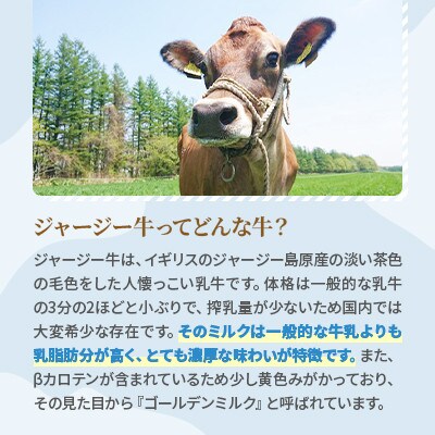 【毎月定期便】十勝ジャージーセット 大 各1本(飲むヨーグルト500g・牛乳750ml)全6回【配送不可地域：離島】【4085705】