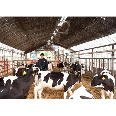 【セット】風景の牛乳 900ml　牧場てづくりのむヨーグルト 900g　各2本【配送不可地域：離島】【1720252】