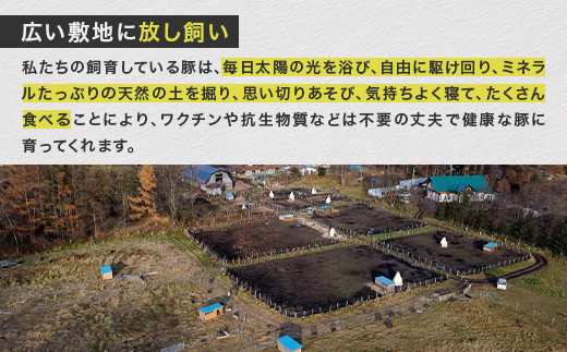 【毎月定期便】北海道十勝鹿追産 放牧黒豚 ひき肉&切り落としセット(1,950g)定期便 全12回【配送不可地域：離島】【4058015】