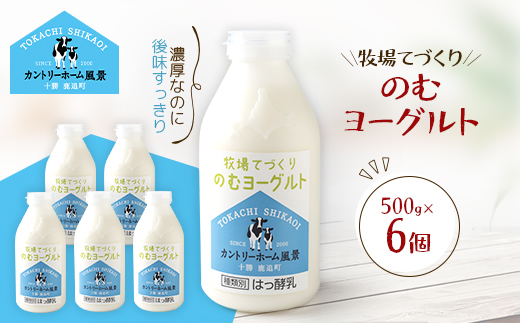 牧場てづくりのむヨーグルト　500g×6個【配送不可地域：離島】【1720221】