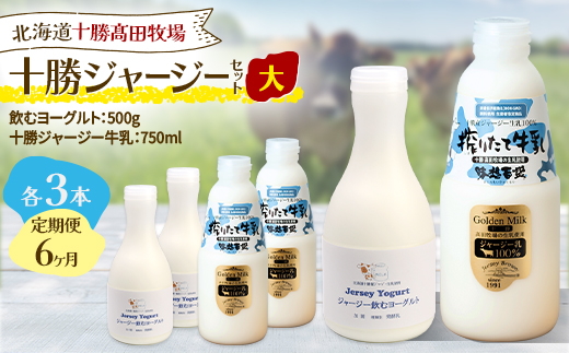 【毎月定期便】十勝ジャージーセット 大 各3本(飲むヨーグルト500g・牛乳750ml)全6回【配送不可地域：離島】【4085710】