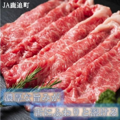 鹿远ç ããŒã¹ããçŒãçš 450g (鹿远çAã»ãã 225gÃ2 ) åæµ·éåå鹿远ç£ã0111ããé
éäžå¯å°åïŒé¢å³¶ãã1455832ã