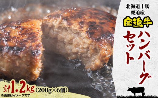 鹿追牛 ハンバーグセット 200g×6個 計1.2kg 牛肉100% 北海道十勝鹿追産【0117】【配送不可地域：離島】【1455848】