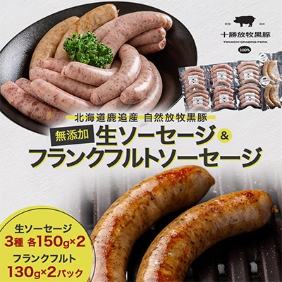 【毎月定期便】無添加生ソーセージ3種&フランクフルトソーセージ　計1.16kg全6回【配送不可地域：離島】【4092565】