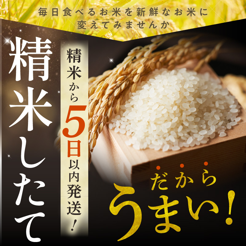 精米したてをお届け！北海道産 ゆめぴりか 5kg【お米 精米 白米 新米 お米 お弁当 北海道産 ゆめぴりか 5kg お米5kg 白米5kg 北海道産米 道産米 米】