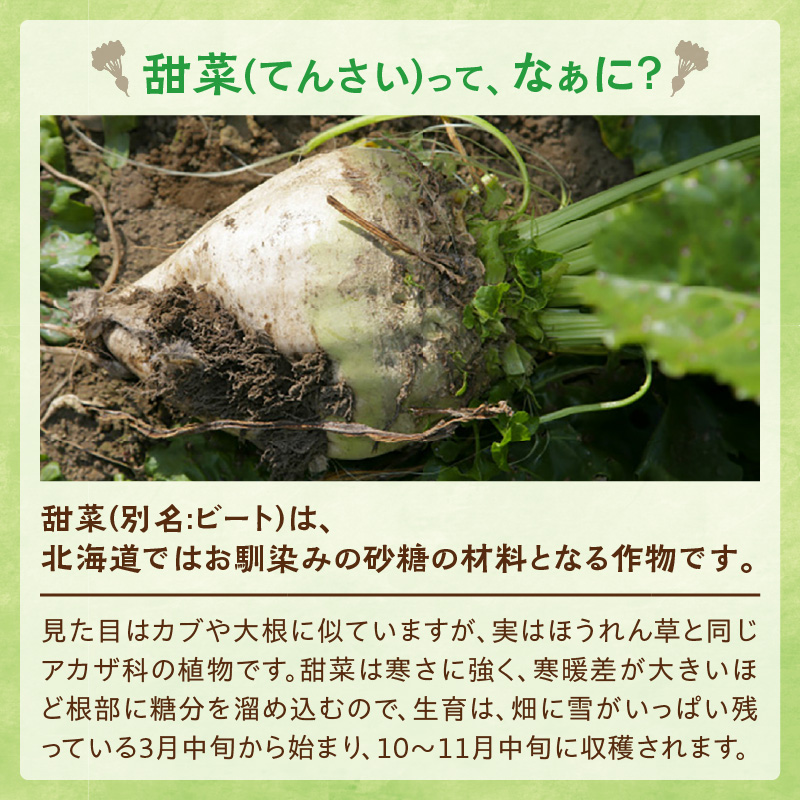 【隔月3回定期便】 ホクレン の てんさい糖 650g × 12袋 【 定期便 てん菜  北海道産 砂糖 お菓子 料理 調味料 ビート お取り寄せ 北海道 清水町  】