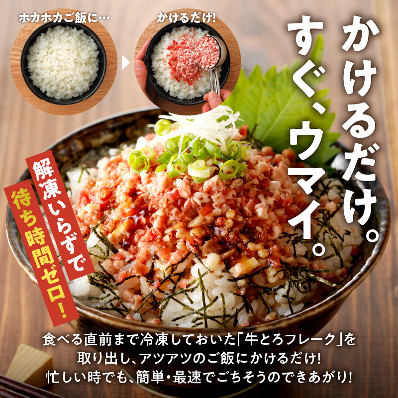 【3回定期便】毎月付属のタレが変わる！ 牛とろ丼  セット 300g 計45食分【 定期便 清水町 牛とろ ぎゅうとろ ギュウトロドン 牛肉 醤牛 牛トロ 45食分 発酵 調味料 かけるだけ ふりかけ 牛とろフレーク 牛とろ 肉丼 牛肉 醤 牛肉フレーク 牛トロフレーク 牛とろ ご飯のお供 牛とろフレーク 北海道 清水町】