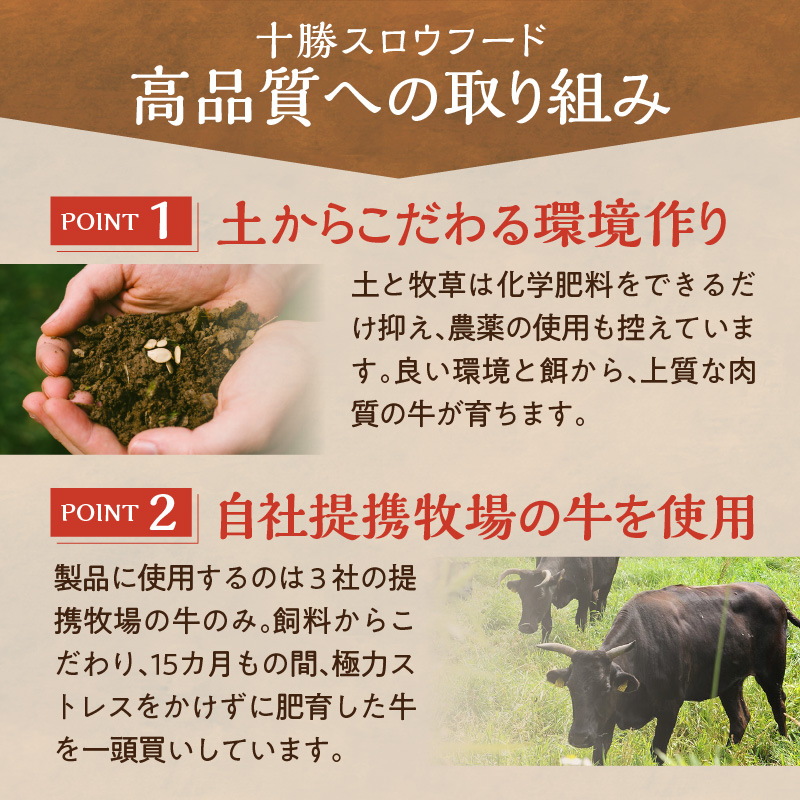 【3回定期便】毎月付属のタレが変わる！ 牛とろ丼  セット 300g 計45食分【 定期便 清水町 牛とろ ぎゅうとろ ギュウトロドン 牛肉 醤牛 牛トロ 45食分 発酵 調味料 かけるだけ ふりかけ 牛とろフレーク 牛とろ 肉丼 牛肉 醤 牛肉フレーク 牛トロフレーク 牛とろ ご飯のお供 牛とろフレーク 北海道 清水町】