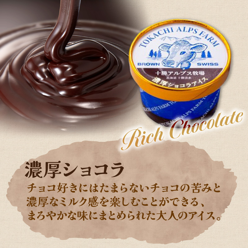 ”希少なブラウンスイス生乳使用” 十勝アルプス牧場 濃厚ショコラアイス9個セット【アイス 濃厚 さっぱり 高たんぱく ソフトクリーム アイスセット チョコアイス ショコラアイス お中元 お歳暮 のし 熨斗 北海道 清水町】